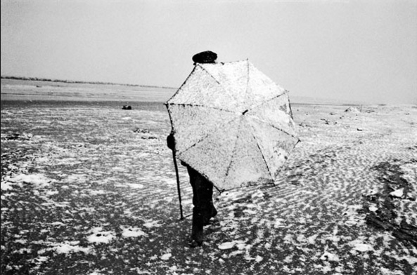 marco pesaresi foto
