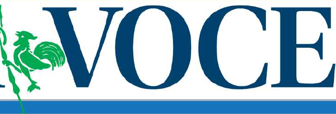 testata voce