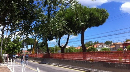 trc riccione