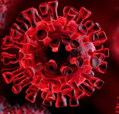 Aggiornamento coronavirus: a Rimini 17 nuovi positivi