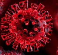 Aggiornamento coronavirus: a Rimini 17 nuovi positivi