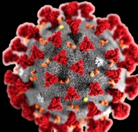 Coronavirus, era stato a Rimini il primo contagiato sardo