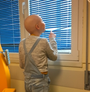 IOR, un barboncino per Valeria: parte la raccolta fondi per portare a casa Simba