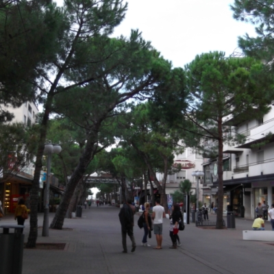 Elezioni Riccione, diario di centro sinistra. Manca un regista