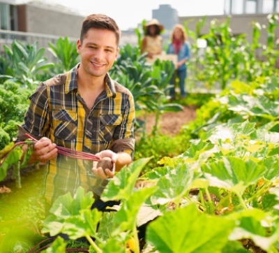 Fondi negati ai giovani agricoltori, Coldiretti denuncia