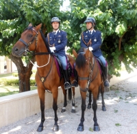 Sicurezza, sette arresti nei tre week end di festa