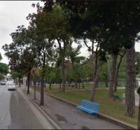 Riccione, 350 alberi piantati nel 2018