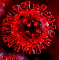 Aggiornamento coronavirus: 147 positivi, 160 guariti