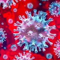 Aggiornamento coronavirus: 299 positivi