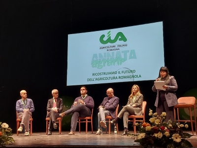 Agricoltura, presentato il report della Cia. Scende la produzione del vino, crolla l&#039;olio