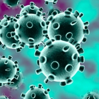 Coronavirus, aggiornamento: 28 nuovi positivi a Rimini, nessun decesso