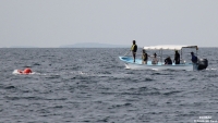 Ambiente, il riccionese che salva le balene