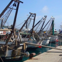 Protesta pescatori: aderisce Legacoop
