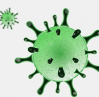 Aggiornamento coronavirus, a Rimini 53 persone positive in più