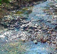 Rio Melo nero, Arpa: non c’è criticità ambientale