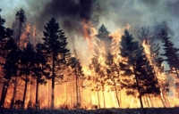 Incendi, fino al 10 settembre è emergenza
