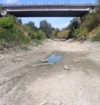 Dispersione idrica, Rapone (Amir): Nel riminese reti ‘giovani’