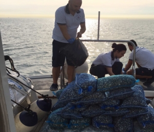Troppo vicine alla costa, multate due vongolare