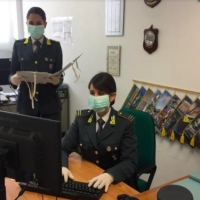 Otto lavoratori in nero, tre con reddito di cittadinanza