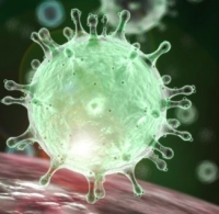 Aggiornamento coronavirus: 7.555 casi in Regione (+116 in più oggi nel riminese)