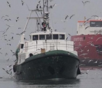 Settore in crisi, pescatori in stato di agitazione
