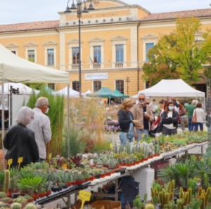Santarcangelo, un&#039;edizione speciale per la fiera di San Michele