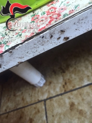 Sovraffollamento, blitz in 5 appartamenti