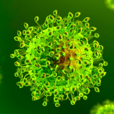 Coronavirus, un decesso. Crescono i contagi