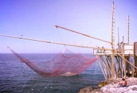 Economia del mare, Rimini ai primi posti per imprese e occupati