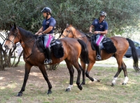 Stazione, parco Cervi e San Giuliano, giro di vite per spacciatori e prostitute