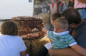 Santarcangelo, 40mila visitatori alla fiera di San Michele