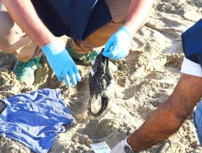 Stupri Miramare, Comune parte civile in processo
