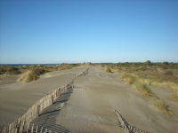 Parco del mare, si parte dalla spiaggia della Bolognese