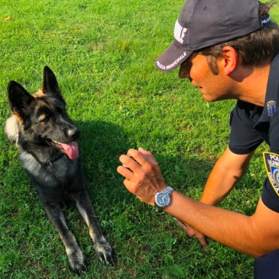 Polizia municipale, Sadegholvaad: unità cinofile operative a inizio 2019