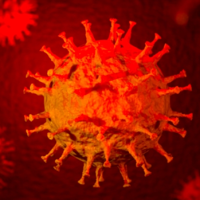 Aggiornamento coronavirus: 495 positivi