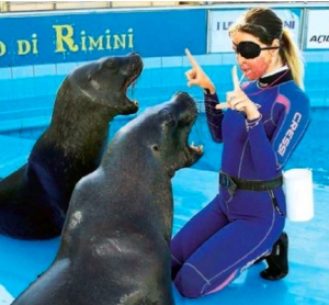 Delfinario chiuso, Notaro: Colpa della burocrazia