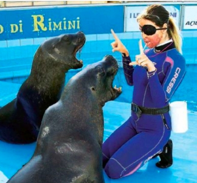 Delfinario chiuso, Notaro: Colpa della burocrazia