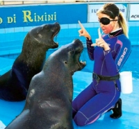 Delfinario chiuso, Notaro: Colpa della burocrazia
