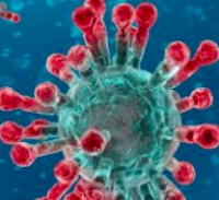 Coronavirus in regione: 22.867 casi. Venturi: a Rimini situazione &quot;tranquilla&quot;