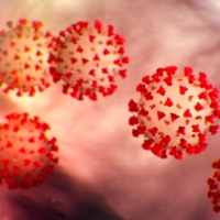 Aggiornamenti coronavirus: 689 casi in più, 78 a Rimini