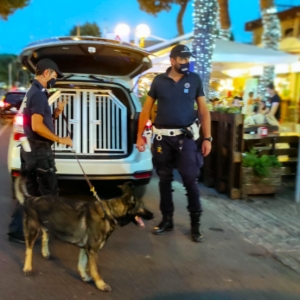 Lotta a prostituzione, bivacchi e truffe: 30 agenti al lavoro