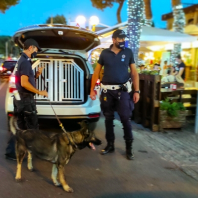 Lotta a prostituzione, bivacchi e truffe: 30 agenti al lavoro