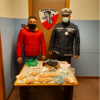 Antidroga, un arrestato a Rimini