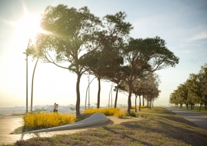 Lungomare Tintori senza auto: approvato progetto esecutivo