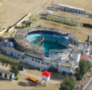 Nuova vita per il delfinario: comune annuncia il bando