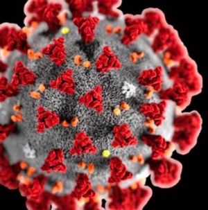 Aggiornamento coronavirus, domenica +37