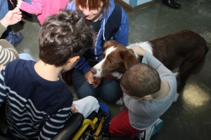 Ior, pet therapy per i piccoli pazienti dell’Infermi