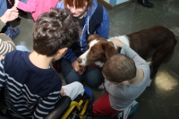 Ior, pet therapy per i piccoli pazienti dell’Infermi