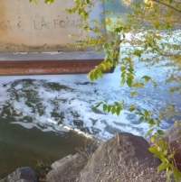 Riccione, schiuma nel depuratore dovuta ad acque salmastre