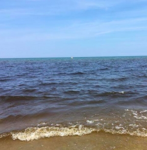 Mare rosso a Rimini, l&#039;alga non è pericolosa per la salute